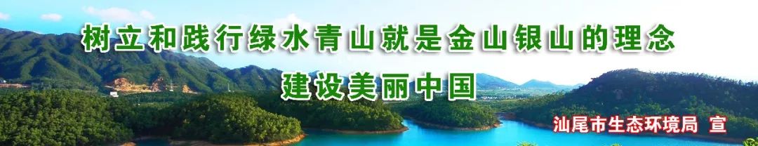 中共廣東省委關于深入推進綠美廣東生態建設的決定